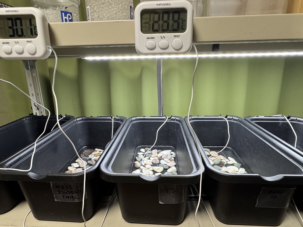 カメ・ベビー用保温育成環境