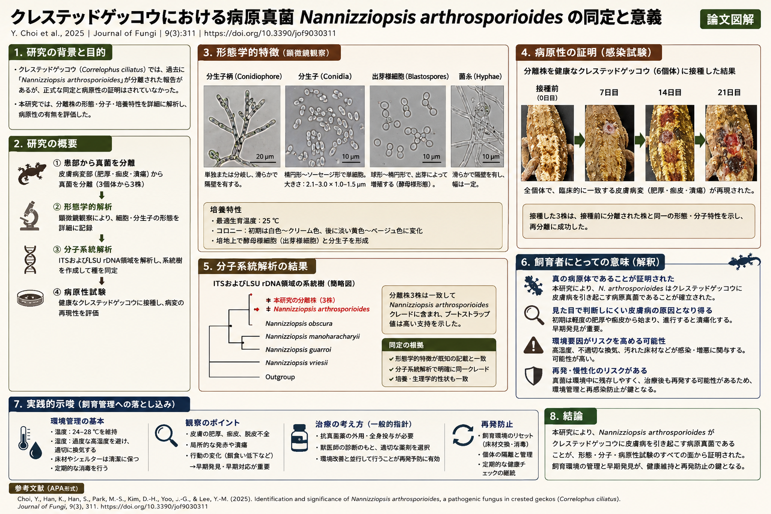 クレステッドゲッコーとガーゴイルゲッコーにおけるNannizziopsis感染症1