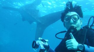 たなの画像（ダイビング中）