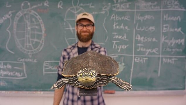 ヒラチズガメ研究