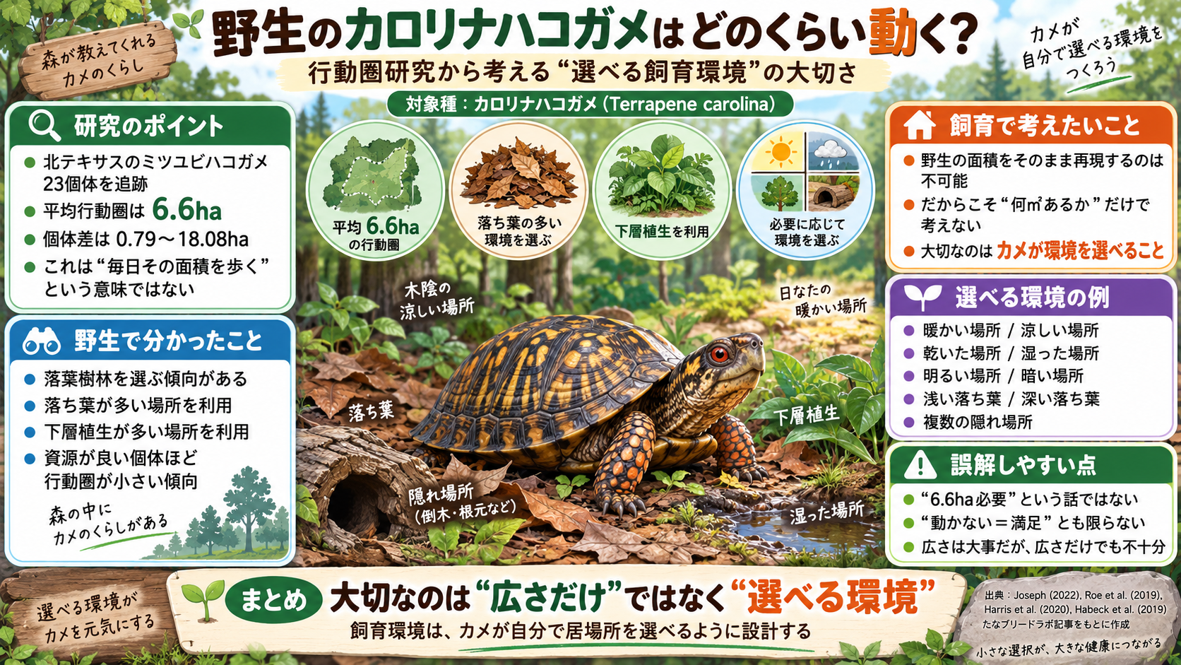 カロリナハコガメ（Terrapene carolina）