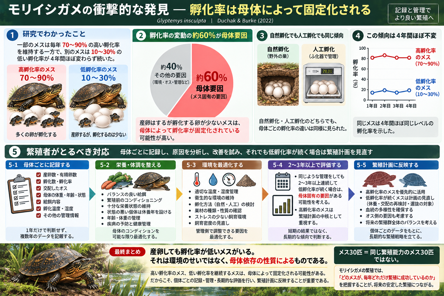 モリイシガメ母体依存