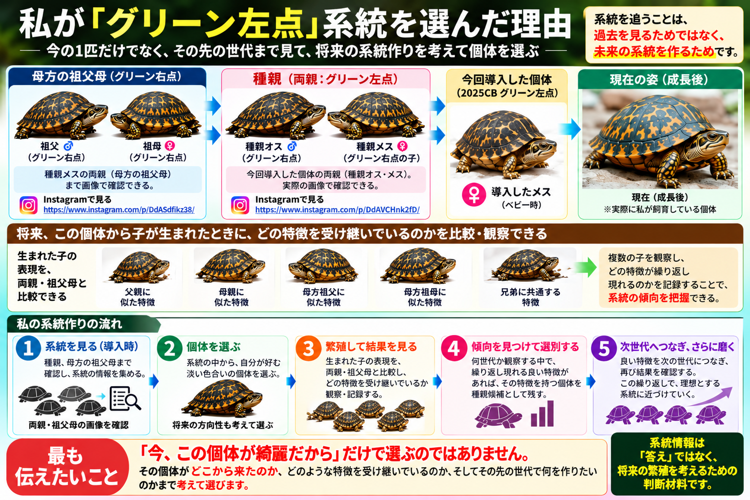グリーン左点系統を選んだ理由1
